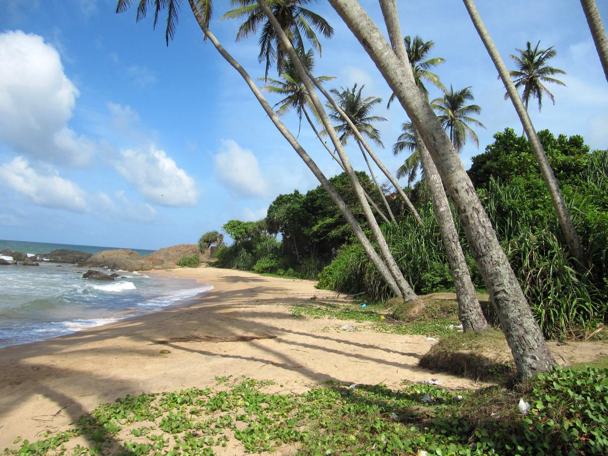 Boutique Villa Shanthi Hikkaduwa Exteriér fotografie