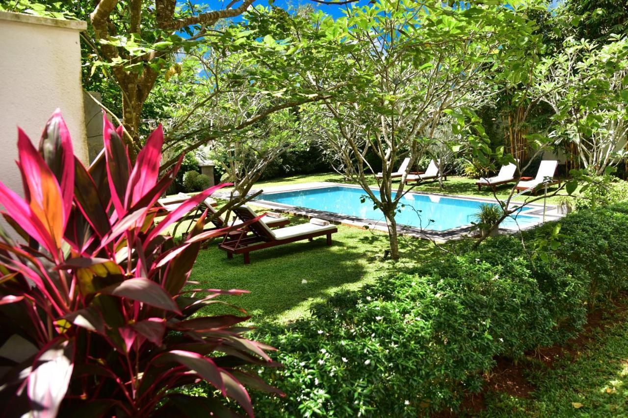 Boutique Villa Shanthi Hikkaduwa Exteriér fotografie